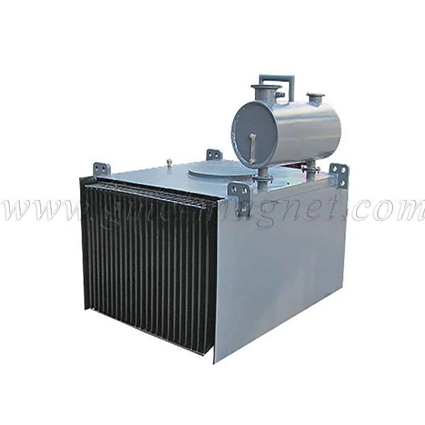 RCDE Electromagnetic Separator