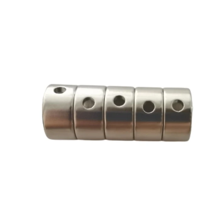 Neodymium Ring Magnet