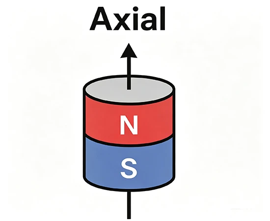 Axial Magnetization Axial Magnetization